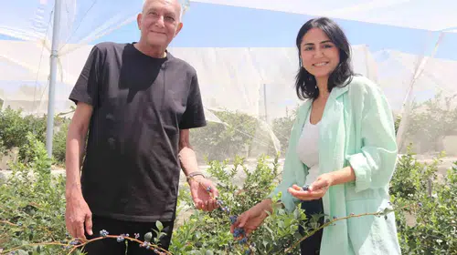 Beyaz yakalı hayattan topraksız tarım devrimine: İlter çiftinden İzmir’de örnek girişim