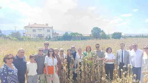 Kuşadalı kadınlardan Isparta çıkarması: Haşhaş tarlasında güç birliği