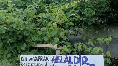 Eski başkandan gönülleri ısıtan jest: Bahçesindeki ürünleri herkese açtı