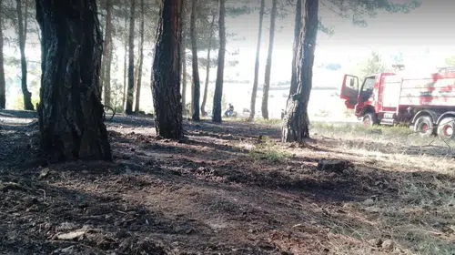 Tavşanlı'da ormanlık alanda korkutan dumanlar: Ekipler felaketi önledi