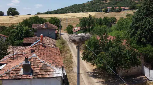 Porsuk Barajı’nın kanatlı misafirleri: Sofça’nın sadık dostları baharı müjdeliyor