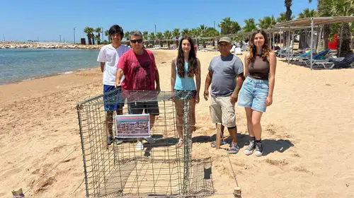 Didim sahillerinde Caretta caretta bereketi: İkinci yuva korumaya alındı