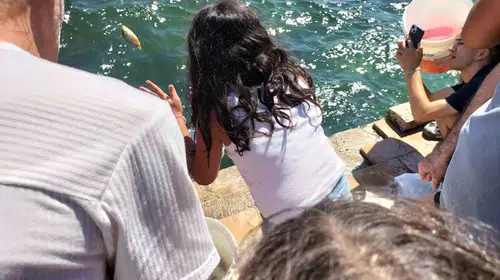 Köyceğiz Gölü’nde dev balıklandırma seferberliği: Gençler doğa için iş başında