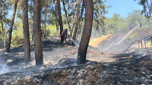 Aytepe'de korkutan yangın: Ekipler felaketi önledi