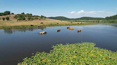 Kuraklığa direnen Süleymanlı Yayla Gölü yeniden doğuşunu kutluyor