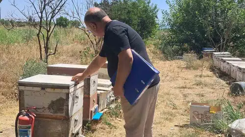 Köşk’te arıcıların yüzünü güldürecek çalışma: Destekler için sahaya indiler