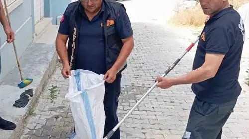 Sandıklı'da korku dolu anlar: Evin içine giren davetsiz misafir paniğe yol açtı