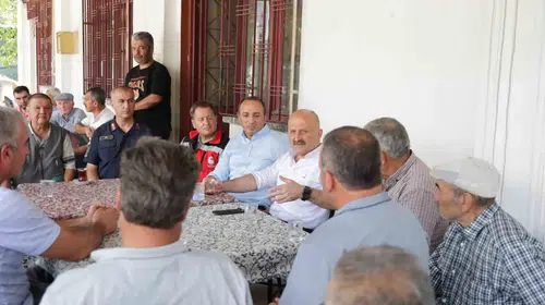 Çine’de yangın sonrası seferberlik: Vali Varol’dan "yeşil doku" mesajı