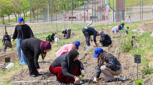 Beton binaların arasında yeşil mucize: İzmirli kadınlar toprağı berekete dönüştürüyor
