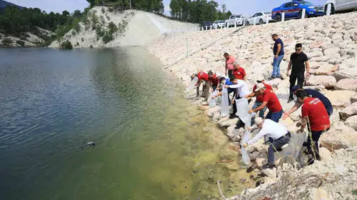 Denizli’nin göletlerinde devasa dönüşüm: 1,3 milyon balık suya bırakıldı
