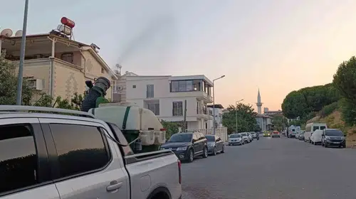 Didim’de yaz mesaisi: Belediye ekipleri haşerelere geçit vermiyor