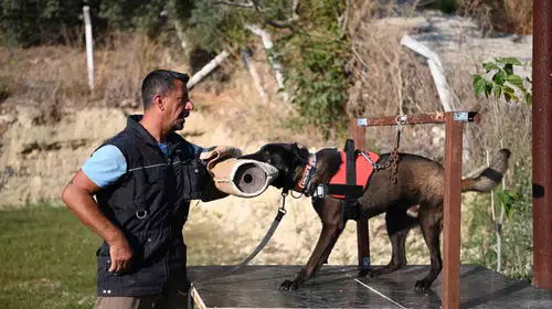 Enkaz altındaki umudun izini sürüyor: 11 yıllık fedakarlıkla hayatları kurtarıyor