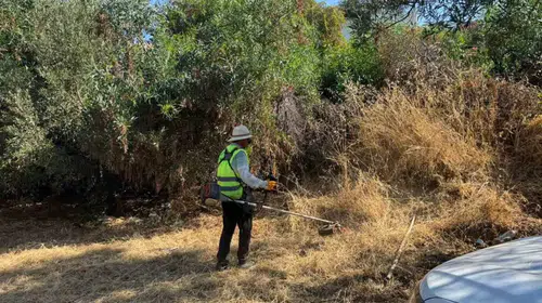 Bodrum'da yaz mesaisi: Yangın riskine karşı dev temizlik operasyonu