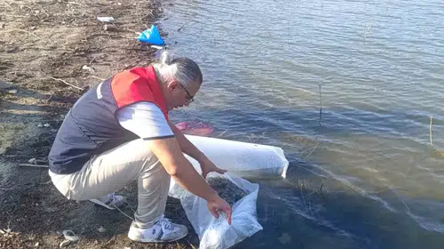 Denizli’nin su kaynaklarına 80 bin yeni misafir: Balık popülasyonu güçlendiriliyor