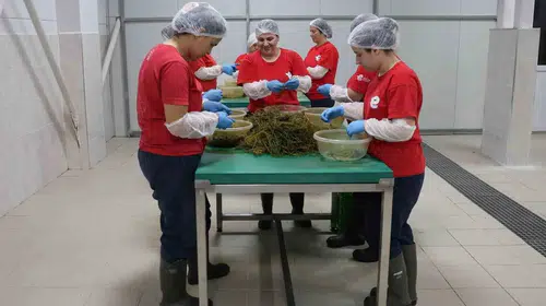 Efeler’in bereketi dijital dünyaya taştı: Yöresel lezzetler artık bir tık uzağınızda