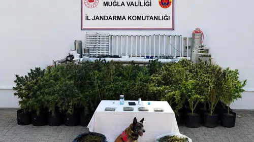 Bodrum'da zehir tacirlerine jandarma darbesi: Evini laboratuvara çevirmiş
