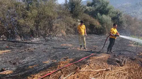 Bafa’da tarım arazisinde korkutan yangın: Ekipler zamanla yarıştı