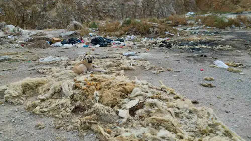 Bolvadin’de çevre skandalı: Eski kum ocağı vahşi depolama alanına döndü