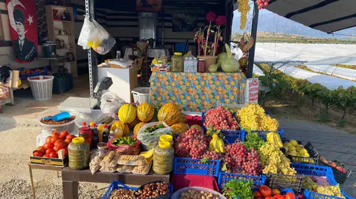 Otobanda mola verenler kendileri hasat ediyor: Sarıgöl'de üreticiden direkt tüketiciye