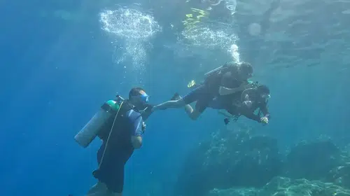 Marmaris’in gizli hazinesi suyun altında: Turistler derin maviliğe hayran kalıyor