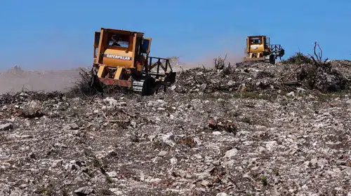 Küllerinden doğan ormanlar: Aliağa ve Foça’da yeşil seferberlik