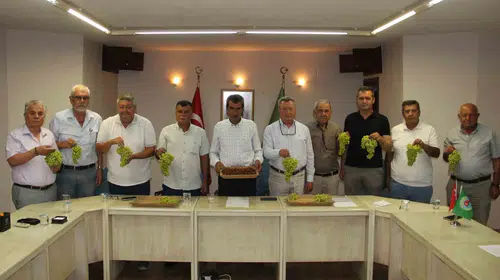 Manisa üzümünde hasat heyecanı: Çiftçi gözünü Ankara’dan gelecek müjdeye çevirdi