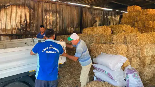 Muğla’da yangın felaketini yaşayan üreticiye belediye eli uzandı