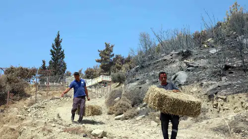 Seydikemer’de küllerin arasından umut yeşerdi: Üreticiye büyük destek