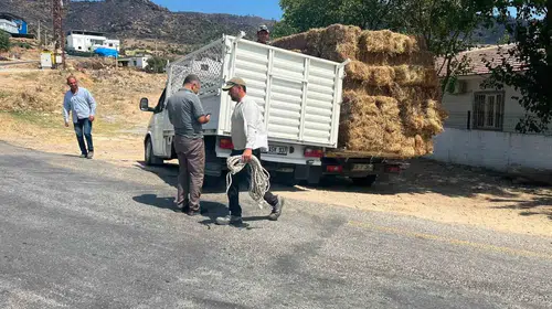 Aydın’da yangın yaraları birlikte sarılıyor: Komşu köyden üreticiye can suyu