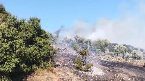 Çine'de alevlerle zorlu mücadele: Hallaçlar'da yangın alarmı