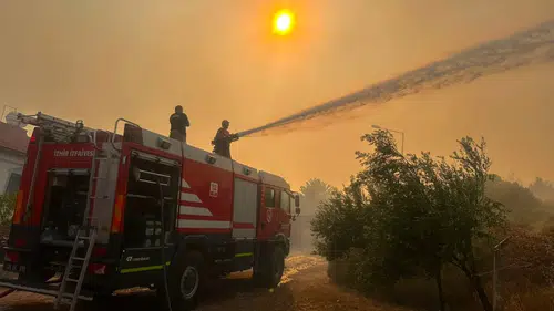 İzmir’de Zeytinlikteki Yangına Hızlı Müdahale, Yerleşimler Tahliye Edildi