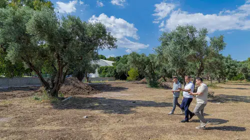 Aliberti Köşkü kent parkına dönüşüyor