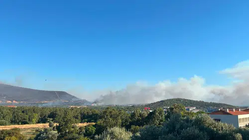 Foça'daki orman yangını için ekipler seferber oldu
