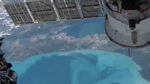 NASA, Karadeniz ve Marmara'da fitoplankton kaynaklı turkuaz renk değişimini görüntüledi