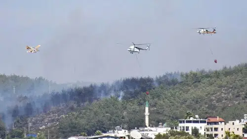 Muğla'da açık alan yangınlarının yaklaşık yüzde 70'i insan kaynaklı çıktı