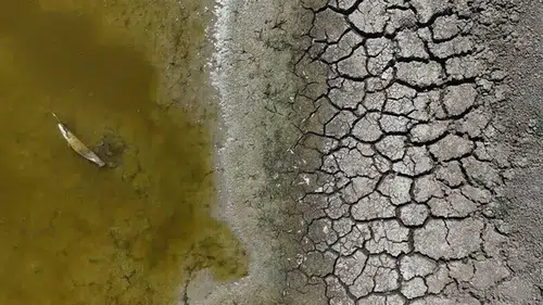 Küresel ısınma dünya karalarının yüzde 40'ını kurak alana çevirebilir