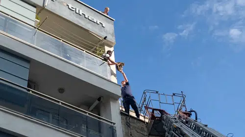 Efeler’de minik kaçak itfaiyeyi harekete geçirdi: Çatıdaki macera mutlu bitti