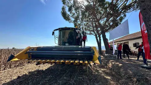 Koçarlı’da devlet desteği berekete dönüştü: Ayçiçeği tarlaları altın sarısına büründü