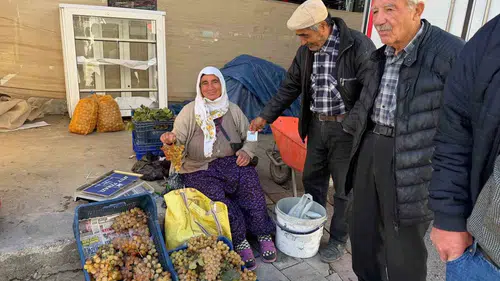 Koçak üzümü tezgahlarda: Tadını bilen vazgeçemiyor