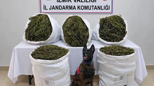 Tire’de jandarmadan zehir tacirlerine geçit yok: 54 kilo esrar ele geçirildi