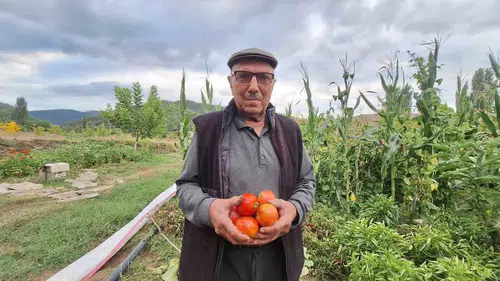 Manisa'da bir gelenek: Dededen kalan tohumlarla toprağı bereketlendiriyor