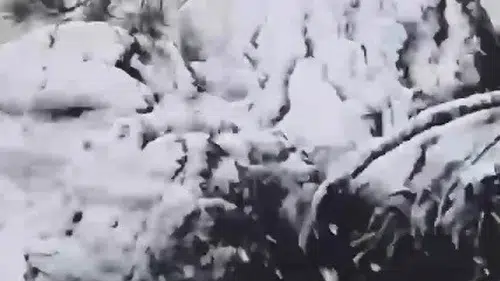 Ege'nin zirvesine kış erken geldi: Muğla beyaza büründü