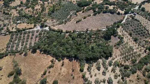 Manisa'da asırlık sessizliğe belediye dokunuşu: 500 yıllık mezarlıkta hummalı çalışma