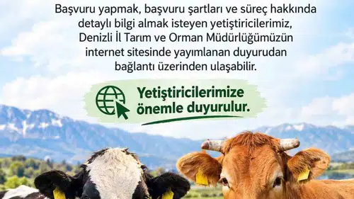 Besilik sığır ithalatında takvim işliyor: 480 bin baş için kritik başvuru süreci başladı