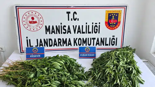 Manisa'da zehir tacirlerine jandarma darbesi: 4 ilçede eş zamanlı operasyon