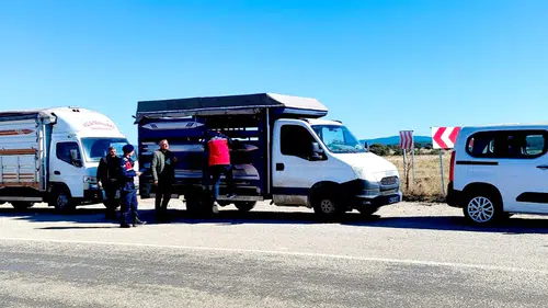 Uşak yollarında sıkı denetim: Hayvan sağlığı için geçit yok