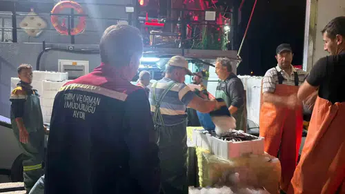 Didim'de denizlerdeki hamsi bereketi için sıkı takip: Ekipler sahaya indi