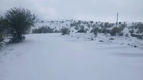 Manisa'nın zirvelerine kışın ilk müjdesi: Beyaz örtüyle tanıştılar