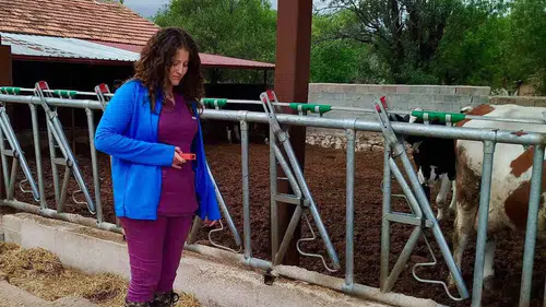 Evciler’de tarımsal üretimde kaliteyi artıracak denetim mesaisi