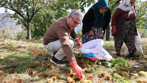 Nazilli’nin kestane üreticisine Başkan Tetik’ten kalkınma sözü
